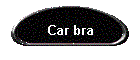 Car bra
