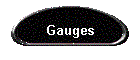 Gauges